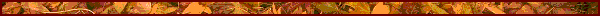 linie.gif (3228 bytes)